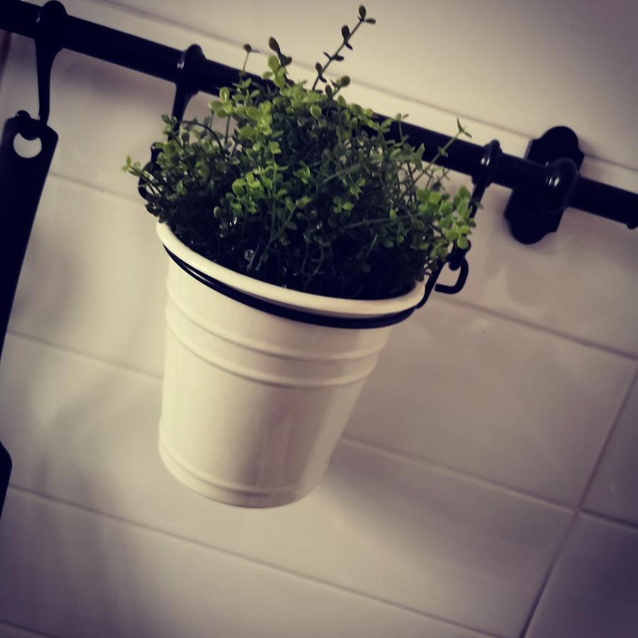 サレルノBalzico Houseアパートメント エクステリア 写真